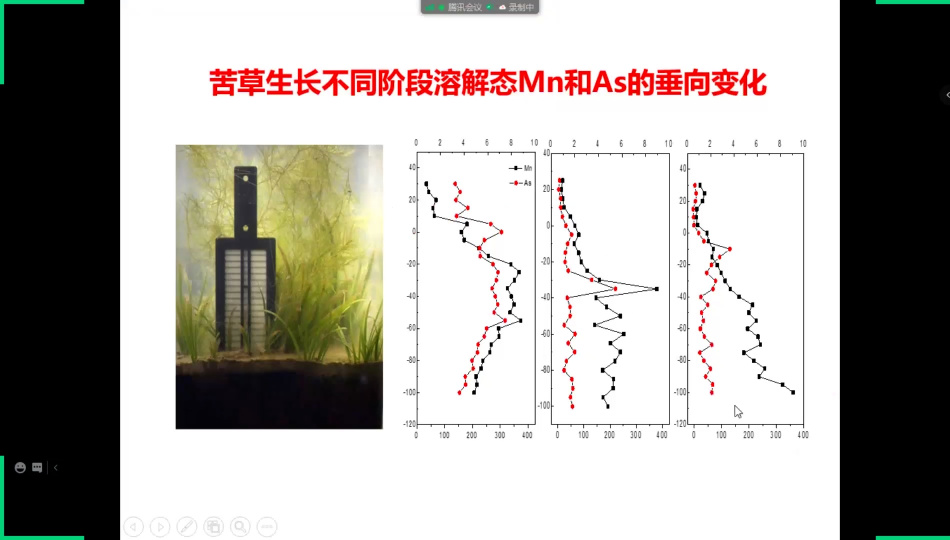 探索Perplexity