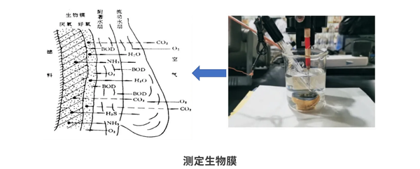 圖層 11.png