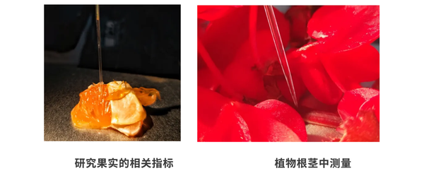 圖層 12.png